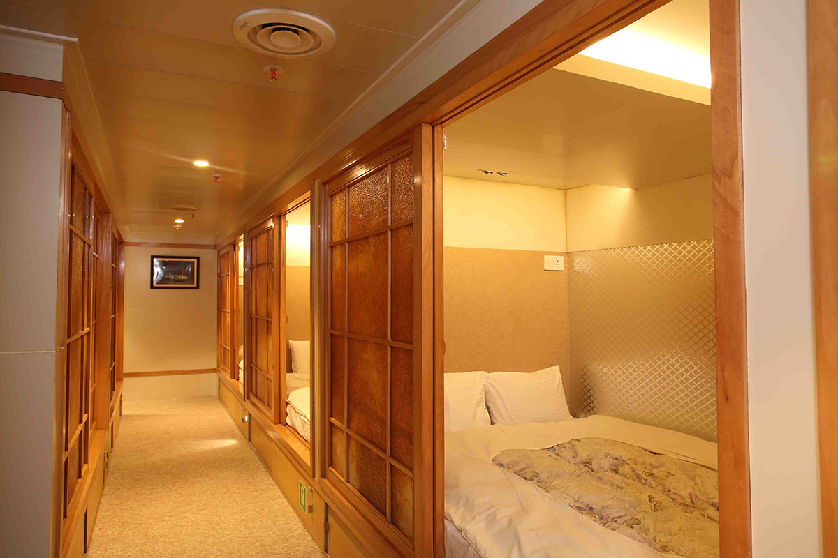 Angriya Cruise